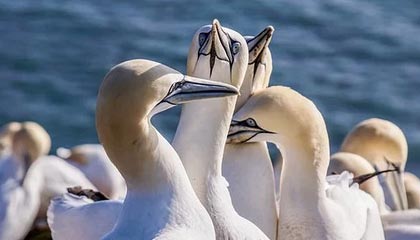 昭通2026年最新北京商务伴游经纪招聘渠道分享(最方便真实的昭通北京爱特博旅运服务有限责任公司招聘方法)